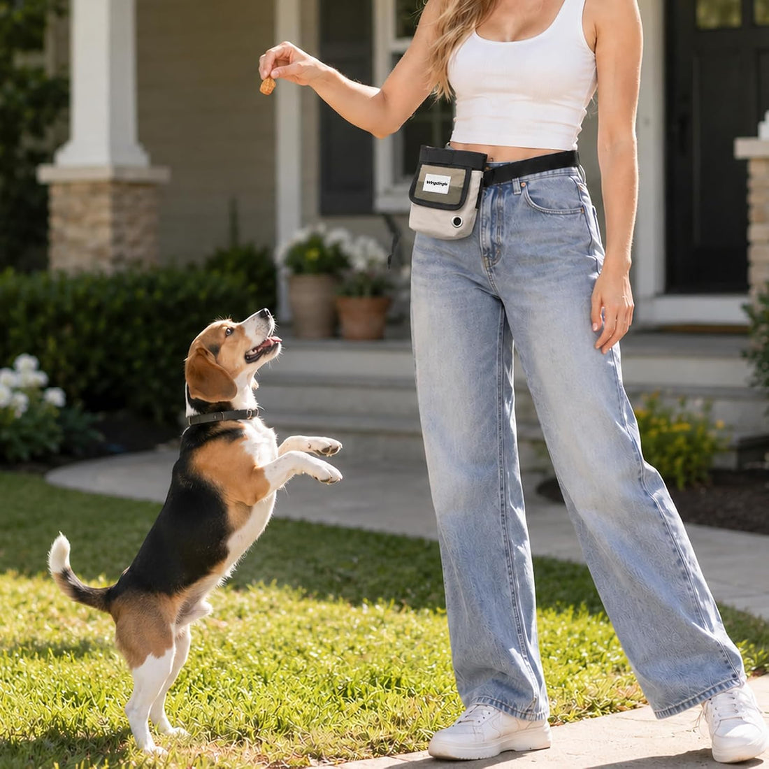 Magnetic Dog Treat Bag with Belt Clip for Training and Walking