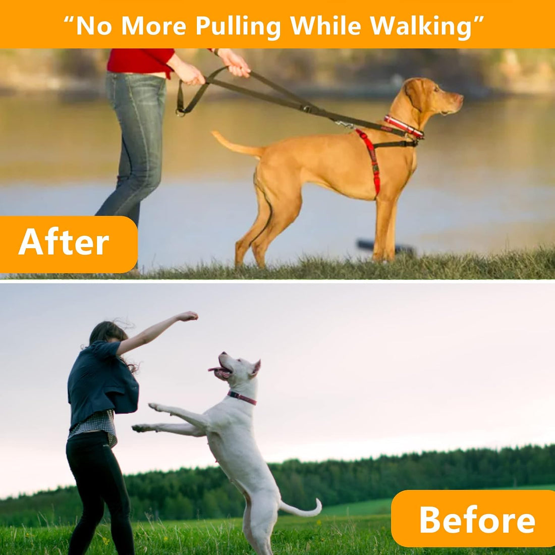 Prong Collar for Large Dogs, Dog Pinch Collar,Dog Choker Collar,High
