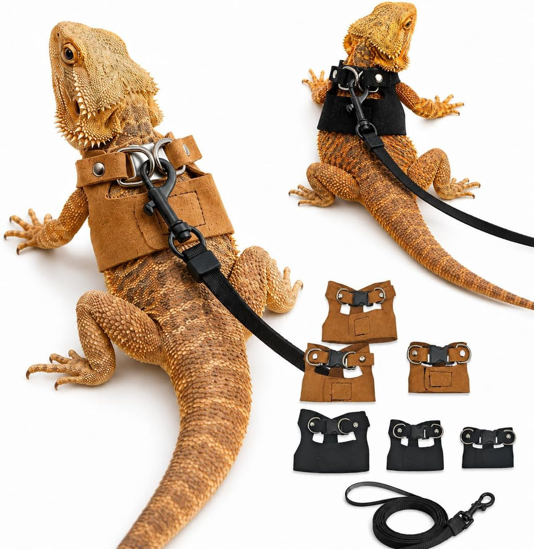 3 Pack Bearded Dragon Harness and Leash Set