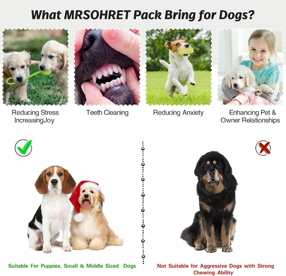 MRSOHRET 20Pcs Puppy Chew Toys for Teething