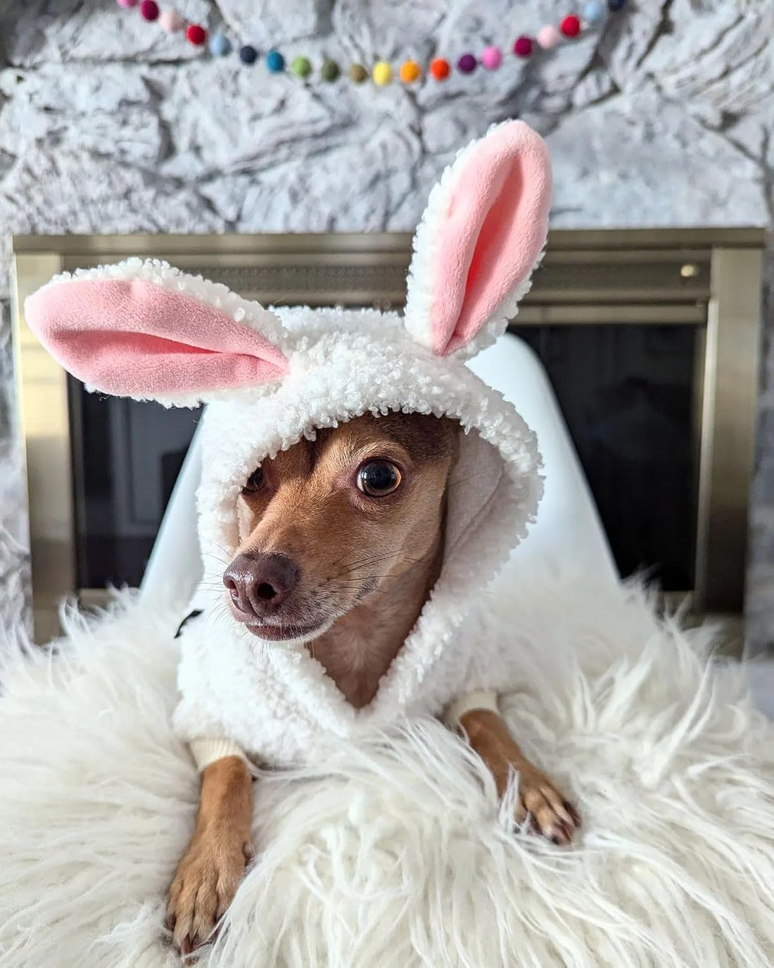 Fitwarm Halloween Sheep Dog Costumes