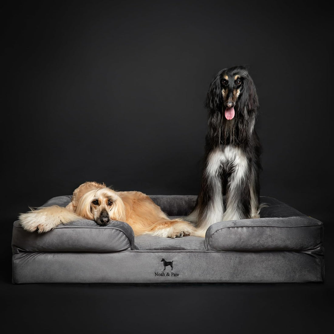 NOAH & PAW XXL Dog Bed, Orthopedic Memory Cooling Foam 55x45x11in