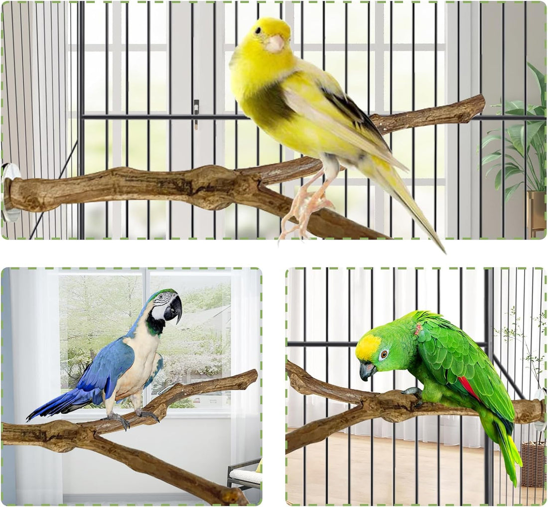 kathson Natural Parrot Perch Bird Stand Pole Wild Grape Stick Paw