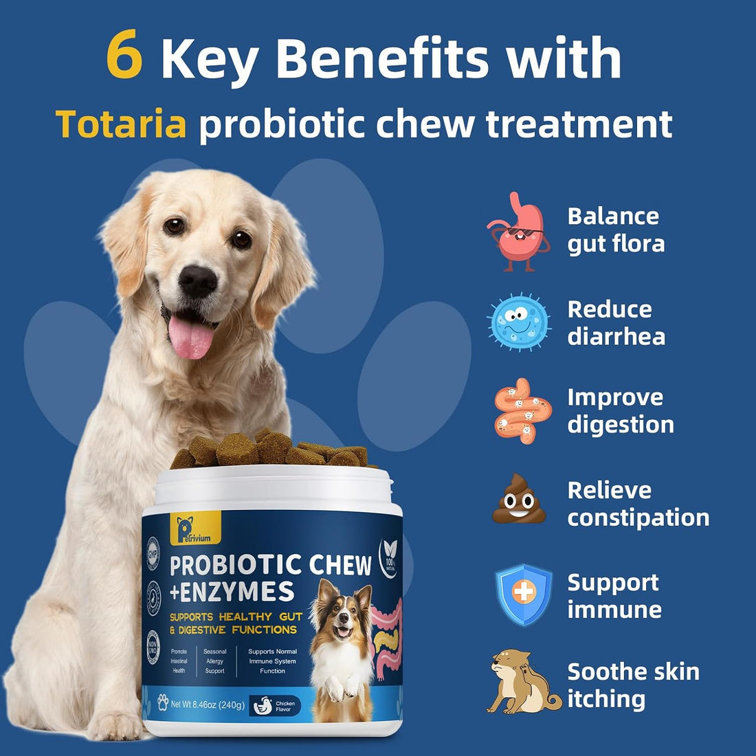 Probiotics for Dogs Digestive Health