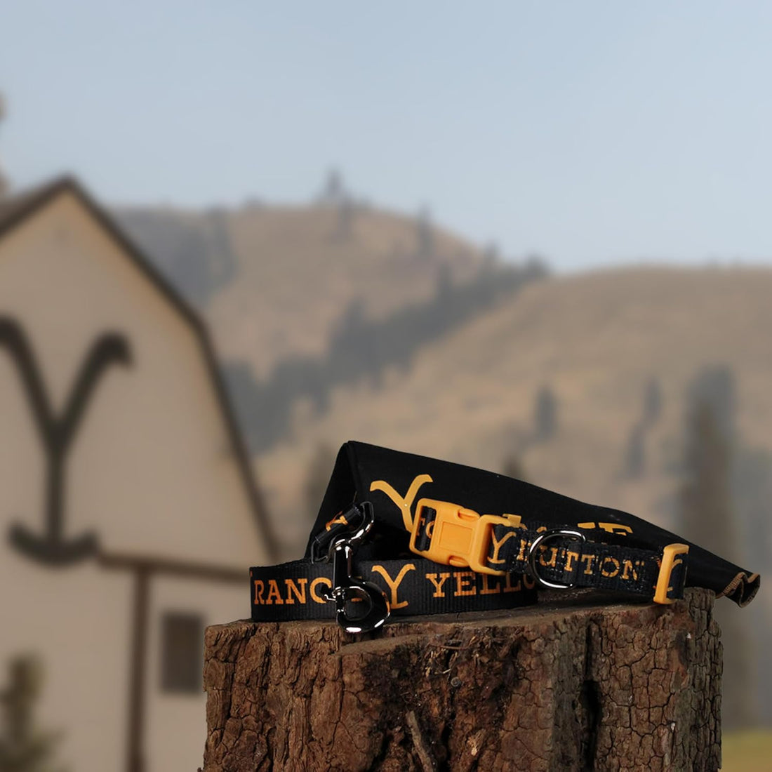 Official Yellowstone Dog Collar, Bandana & Leash Set