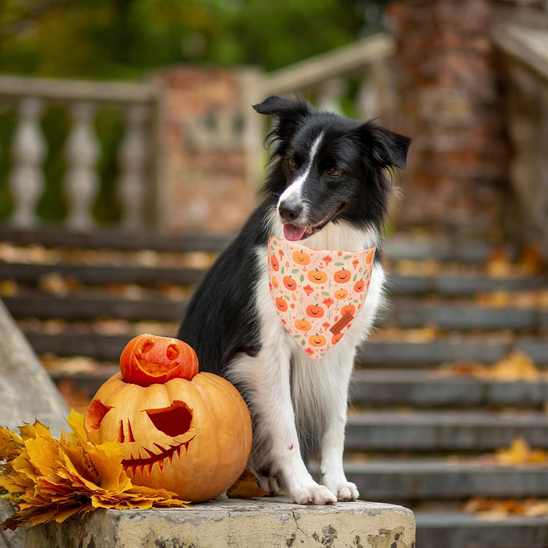 PTDECOR Halloween Dog Bandana, Ghost Pumpkin Dog Scarf