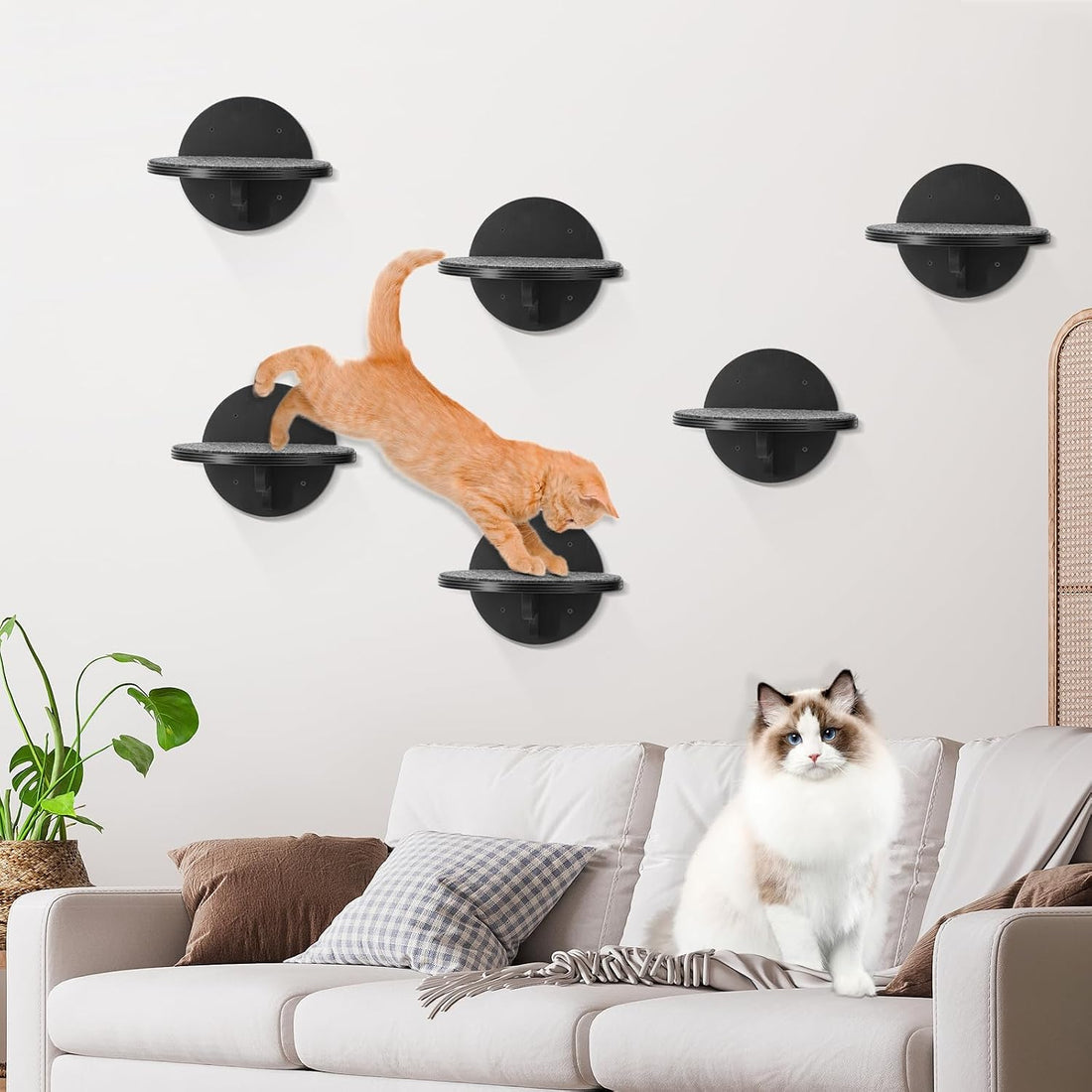 Cat Wall Shelves Furniture Set of 6