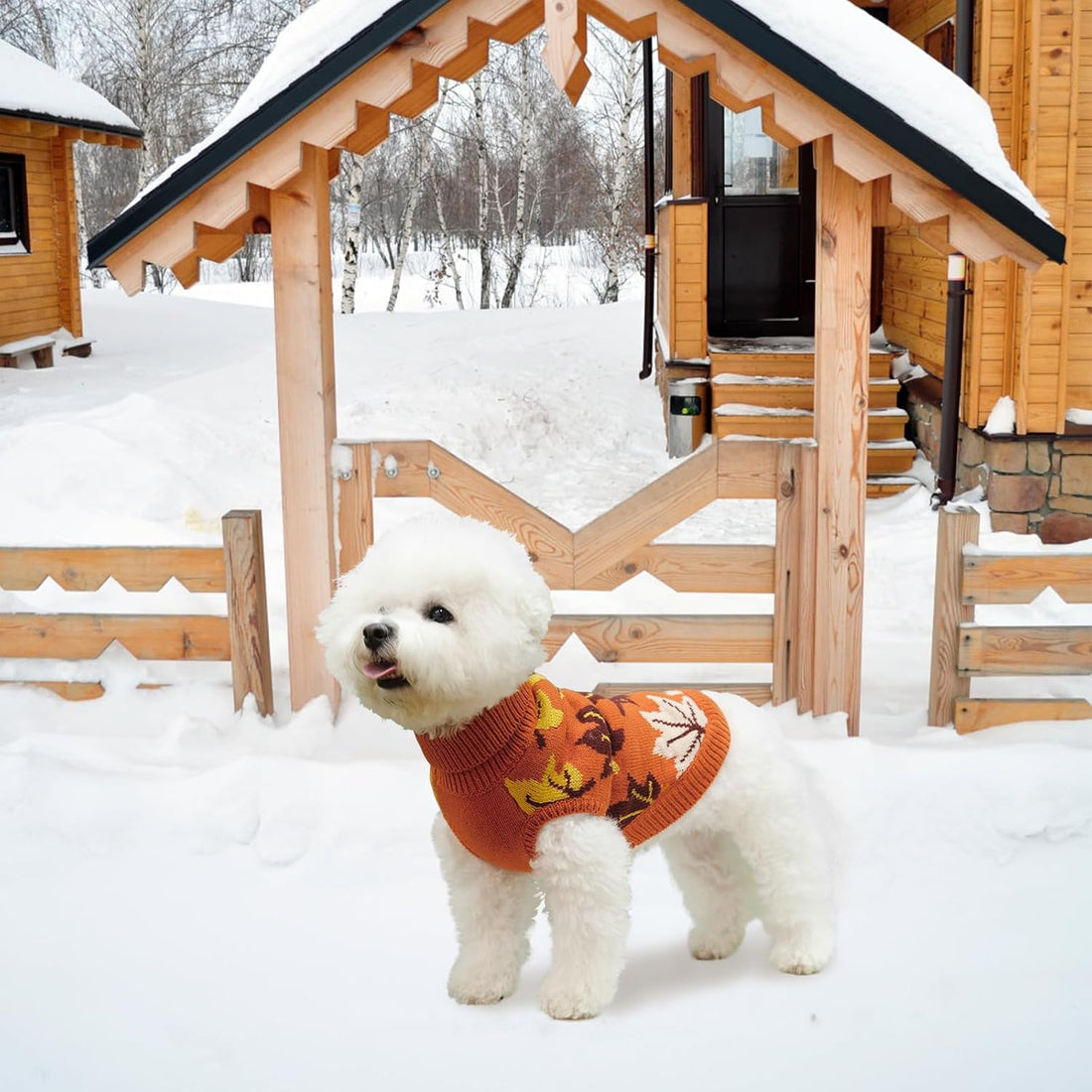 KOOLTAIL Small Dog Sweater, Fall Dog Sweater with Autumn Maple Leaf