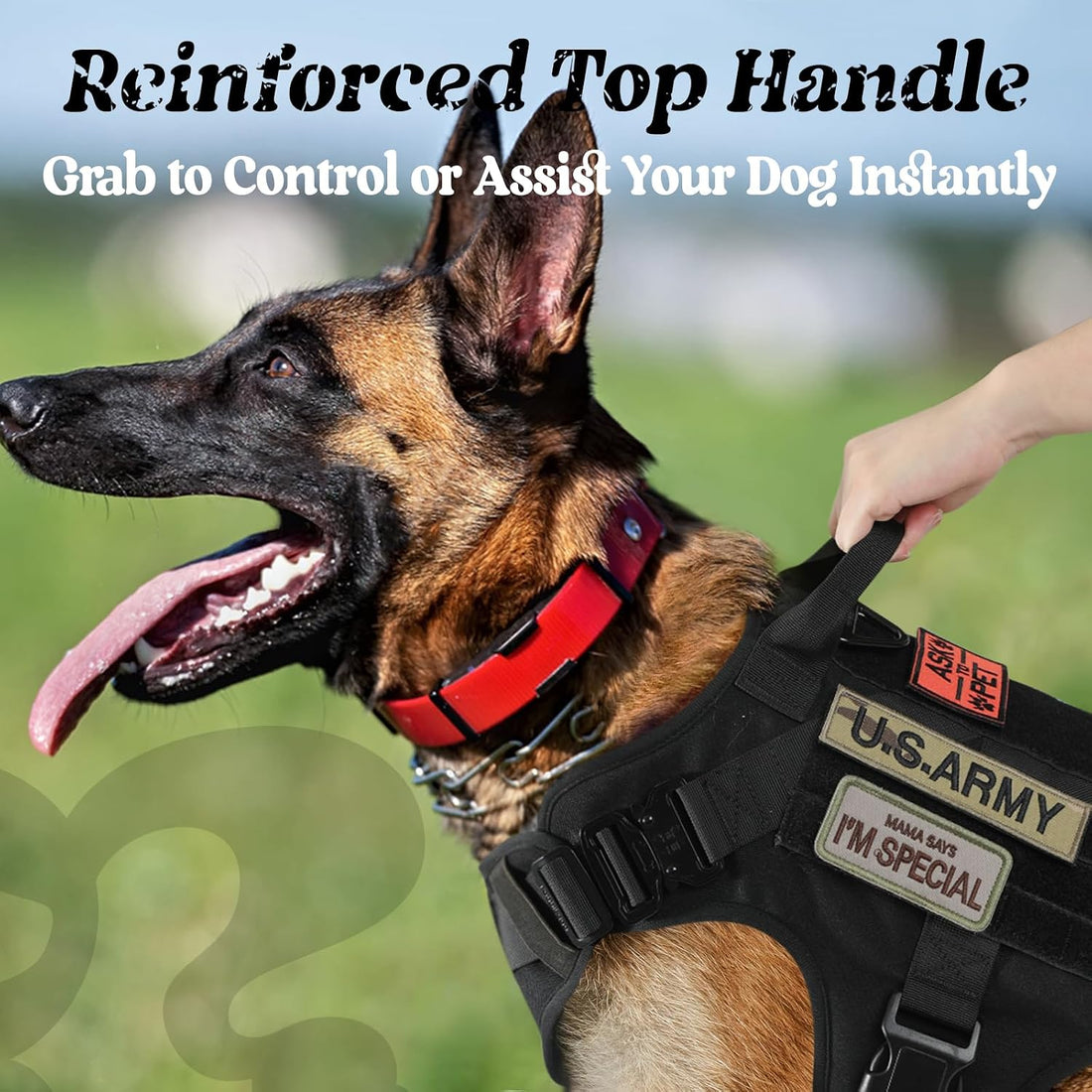 rabbitgoo Tactical Dog Harness for Large