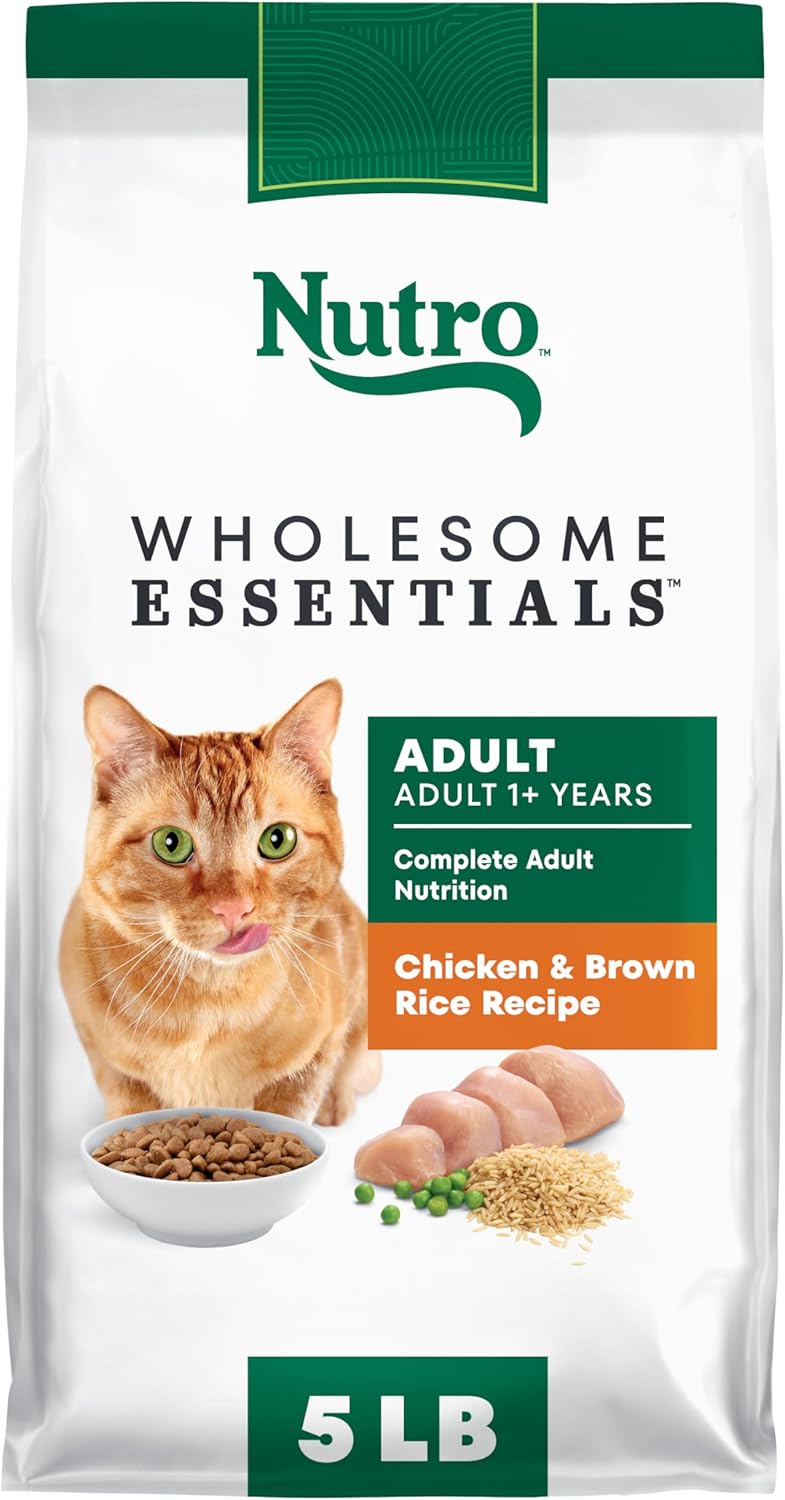 Nutro Wholesome Essentials Adult Dry Cat Food, Salmon & Brown Rice