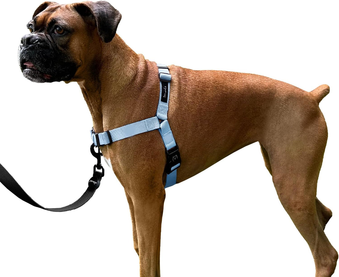 ShawnCo Dream Walk No-Pull Dog Harness