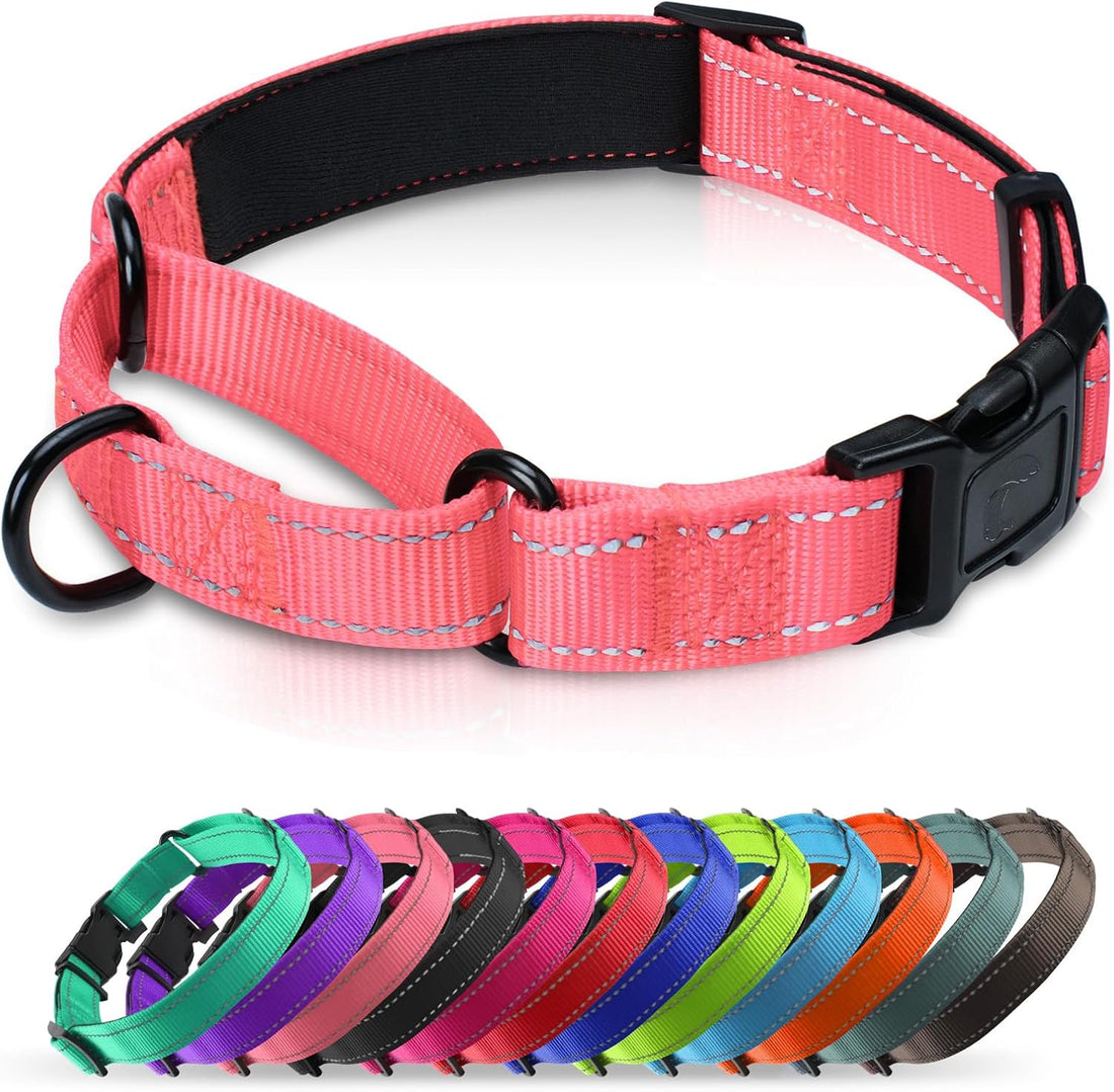 Padded Martingale Collar for Medium Dogs, Quick Release Buckle