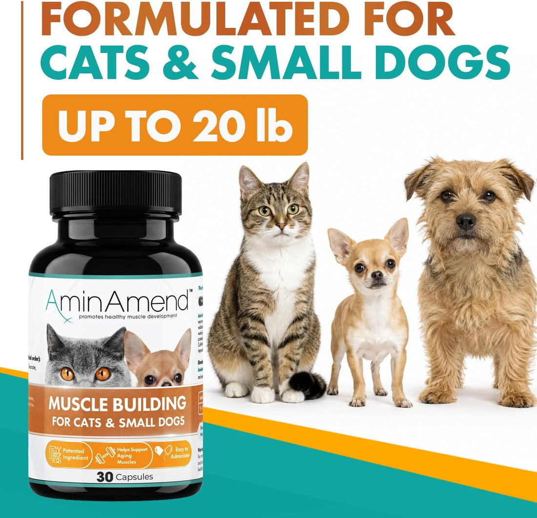 Small Dog & Cat CaHMB Muscle Support Capsules, Vitamin D3, 30 Ct
