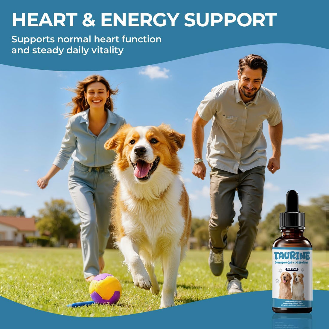 Taurine Supplement for Dogs Liquid Drops, Coenzyme Q10 & L-Carnitine