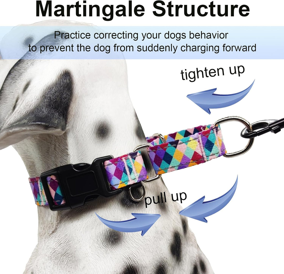 Reflective Martingale Collar for Dogs with Quick Release Buckle No