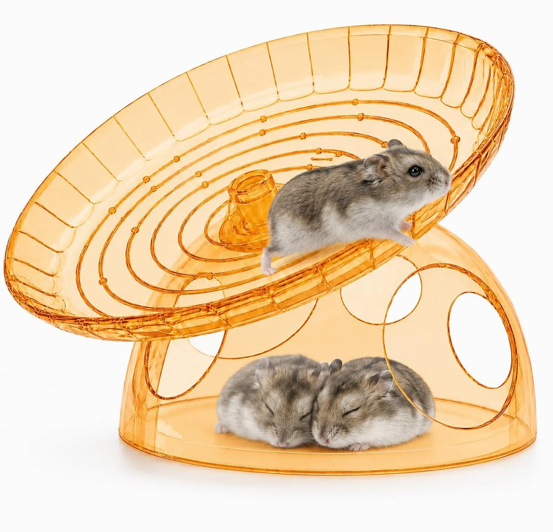 Silent Small Hamster Wheel with Hideout