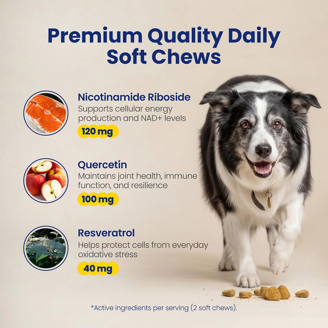Boops Pets NAD+ Precursor & Senior Dog Supplement - 90 Soft Chews