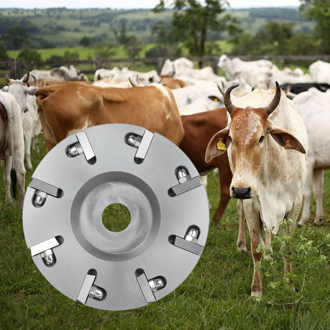 8 Blades Livestock Hoof Trimming Grinding Wheel Sheep Cattles Horses