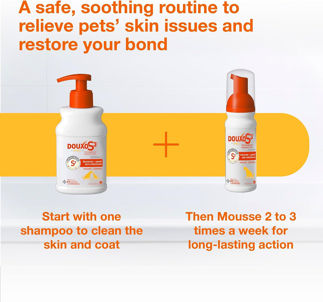 Douxo S3 PYO Chlorhexidine Shampoo & Mousse for Dogs
