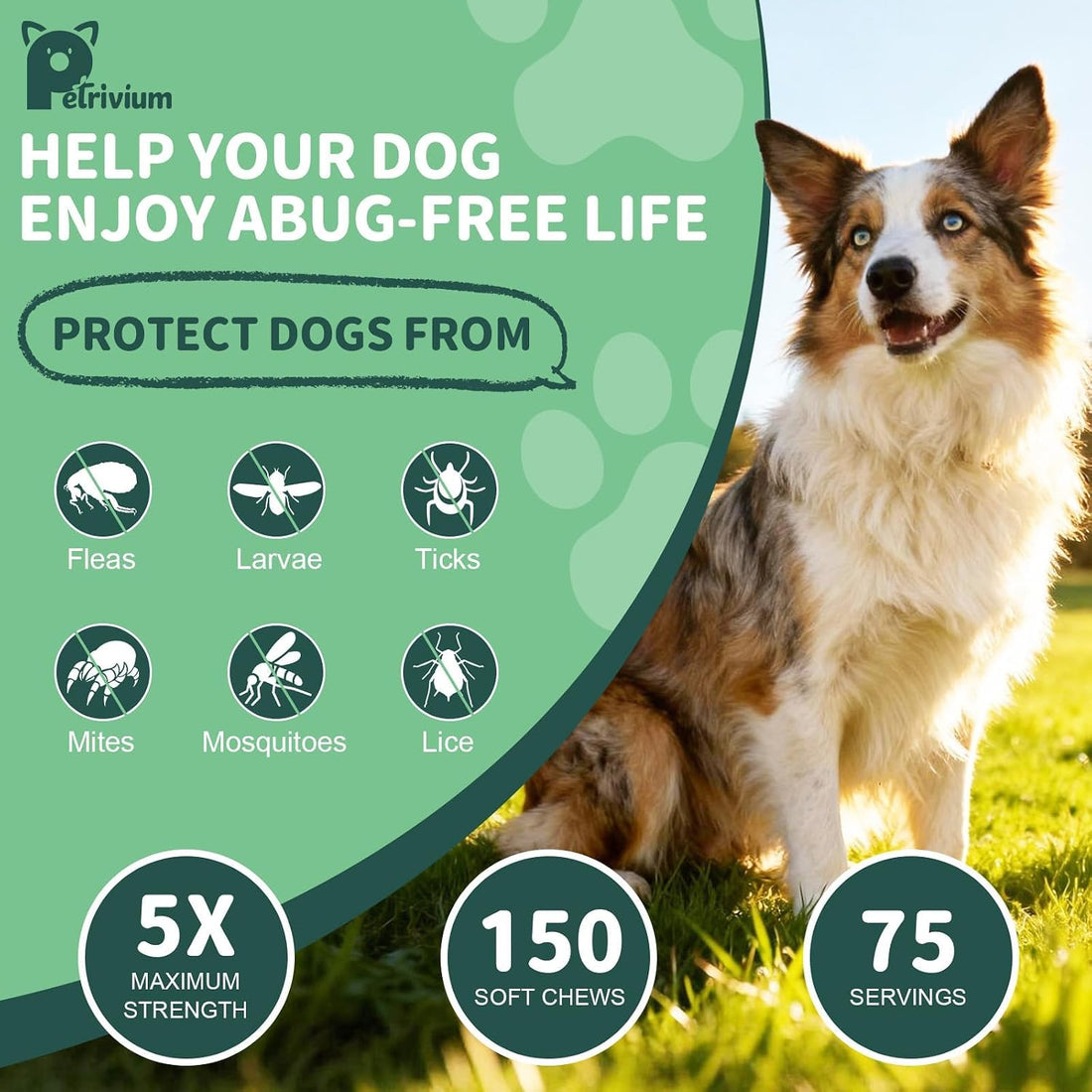Natural Dogs Flea and Tick Chewable