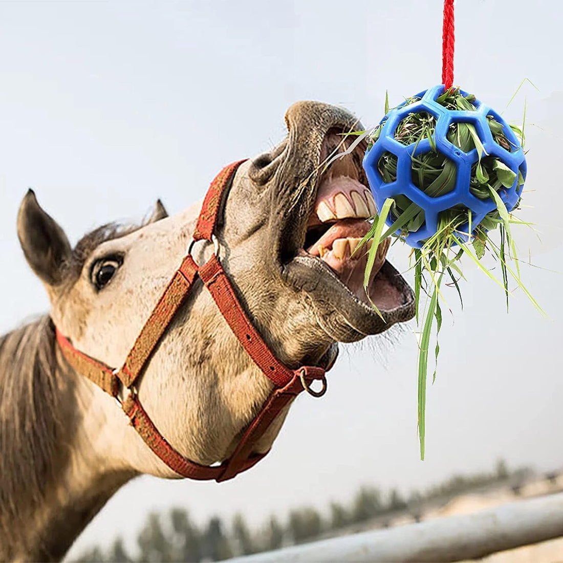 2 Pack 5.5inch Horse Treat Ball Hay Feeder Toy Ball Avoid Boredom