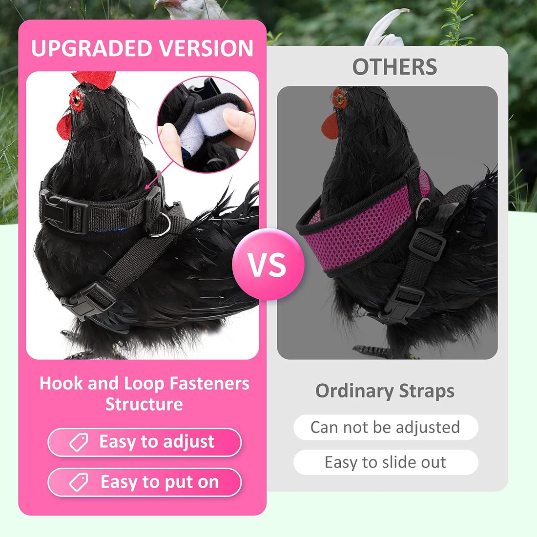 Adhafera Chicken Harness with Leash