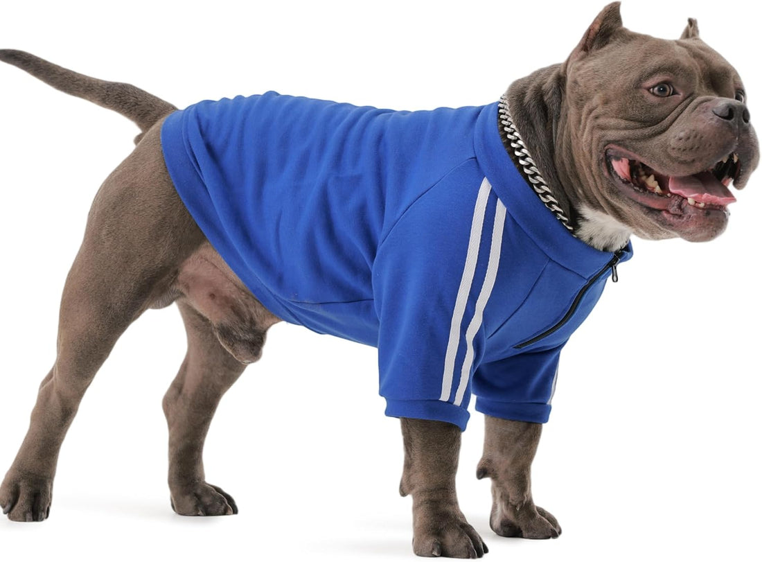 PUMYPOREITY Bulldog Sweatshirt for Broad-Chested Dogs, Blue, L