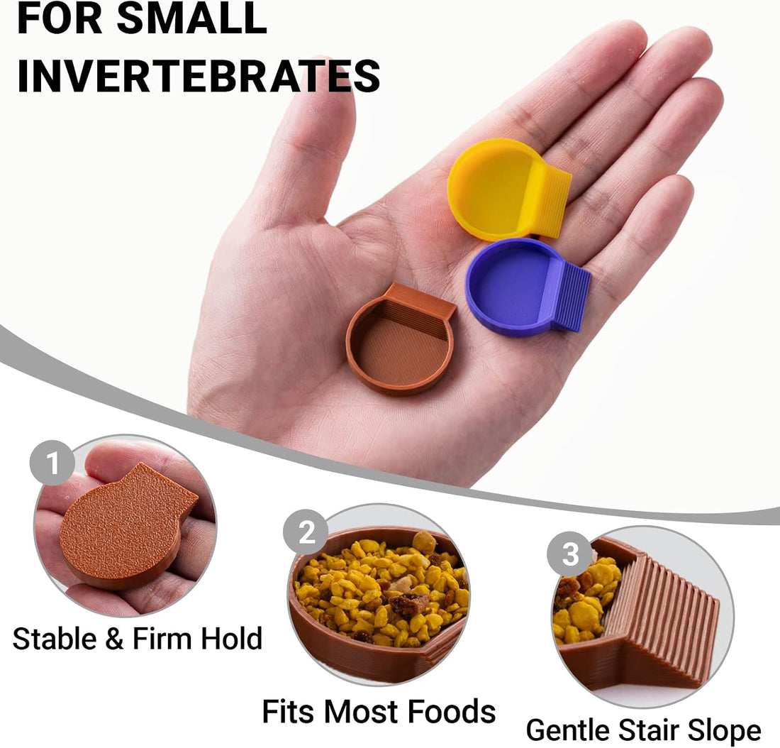 12-Pack Feeding Dish for Invertebrates