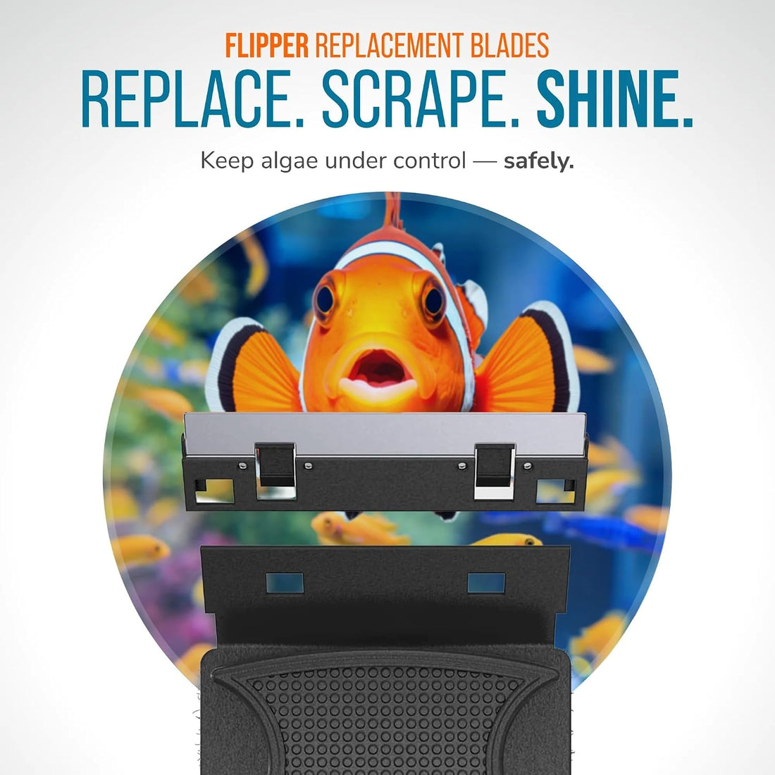 Flipper Standard Algae Scraper Replacement Blades, Stainless Steel