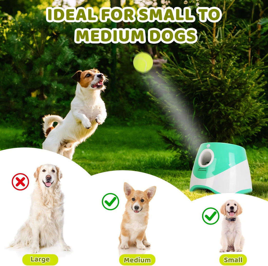 Automatic Ball Launcher for Dogs