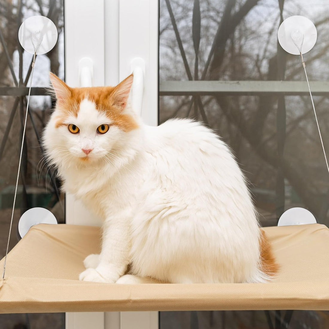 4 Pieces Cat Window Perch Suction Cup