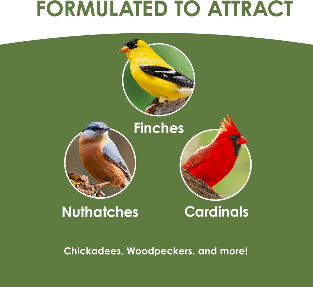 Kaytee Wild Bird Ultimate No Mess Wild Bird Food Seed For Cardinals