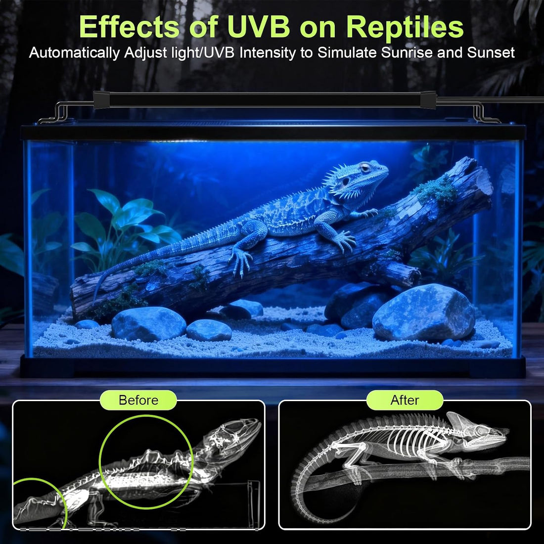 12W LED UVB Light for Reptiles Terrarium Light Extendable Reptile