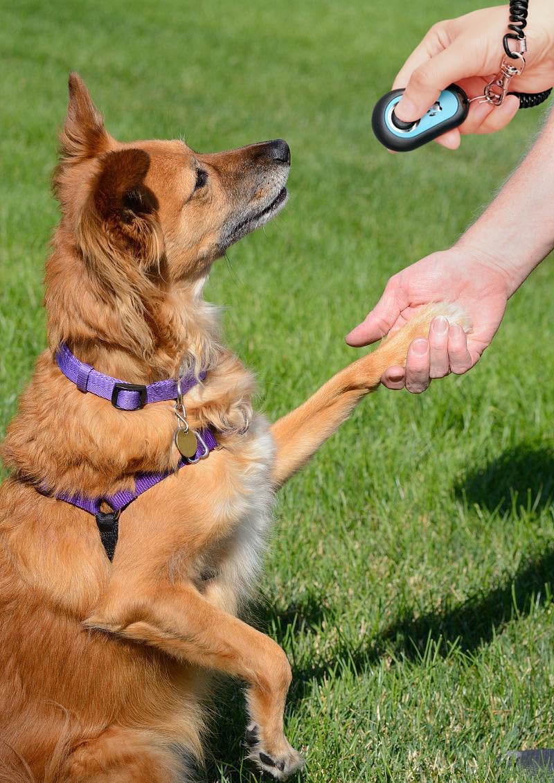 HoAoOo Pet Training Clickers