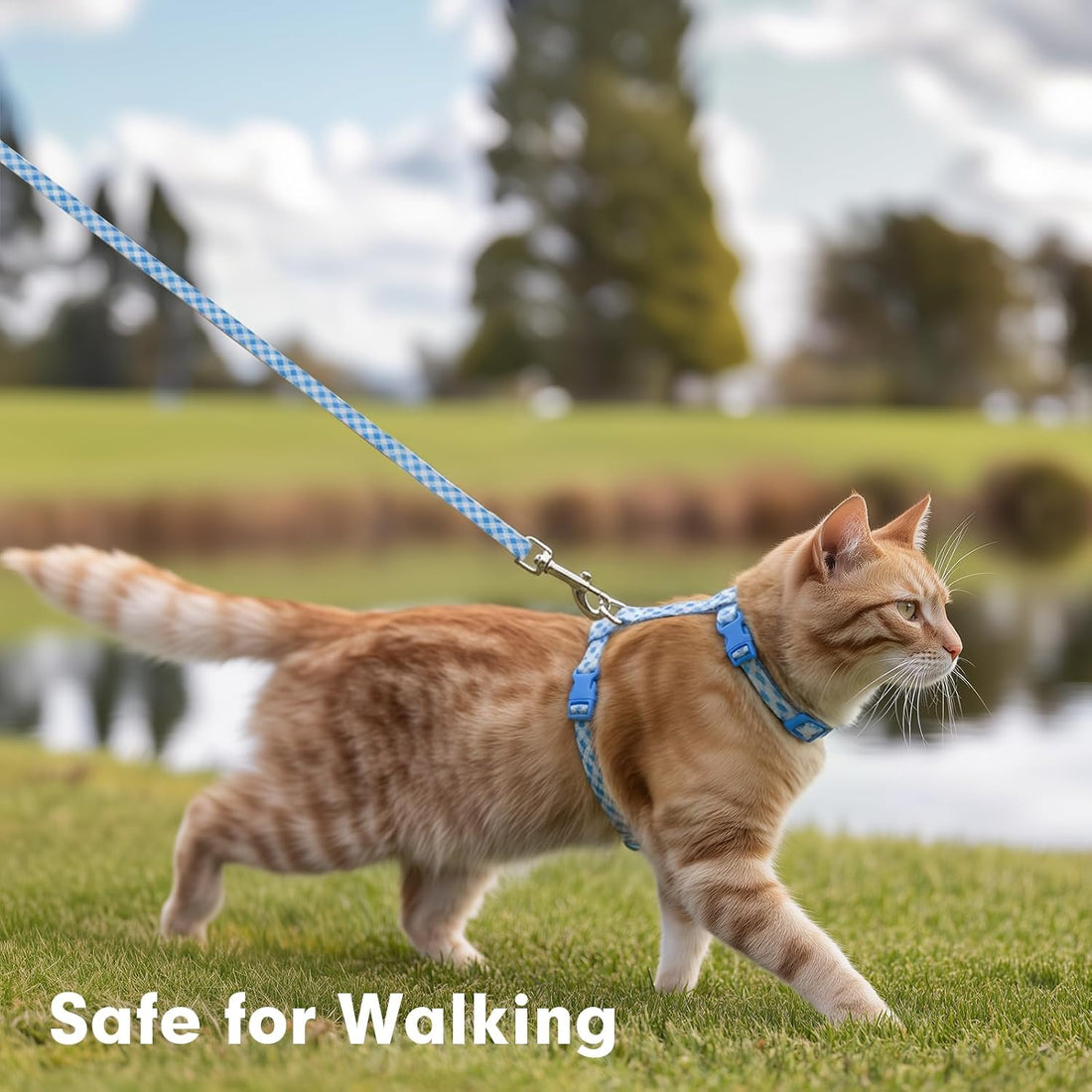azuza Cat Harness and Leash Set, Escape Proof for Safe Walking