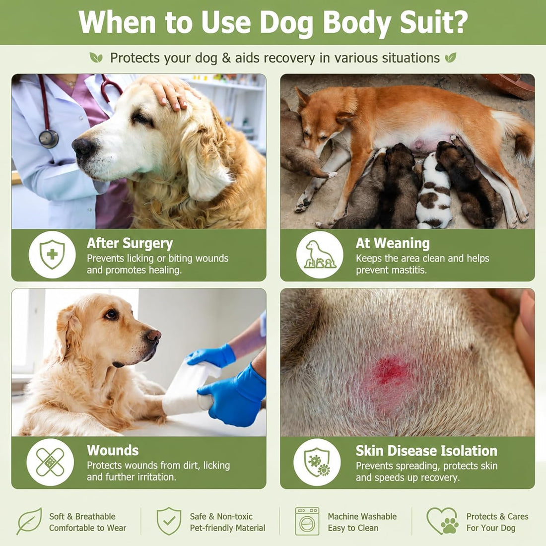 Dog Recovery Suit for After Neuter Spay Abdominal Wounds Protector
