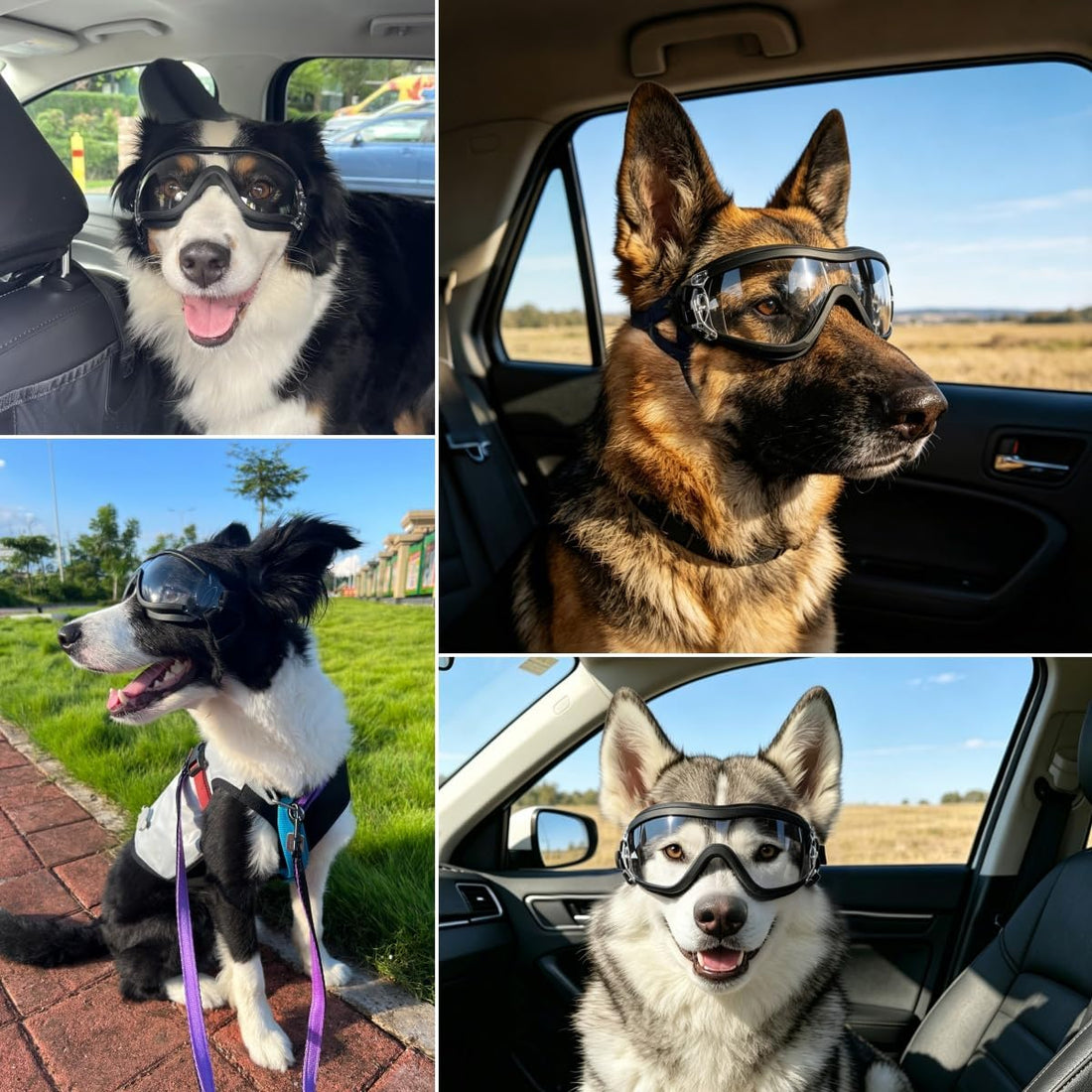 Enjoying Clear Dog Goggles Medium to Large Breed