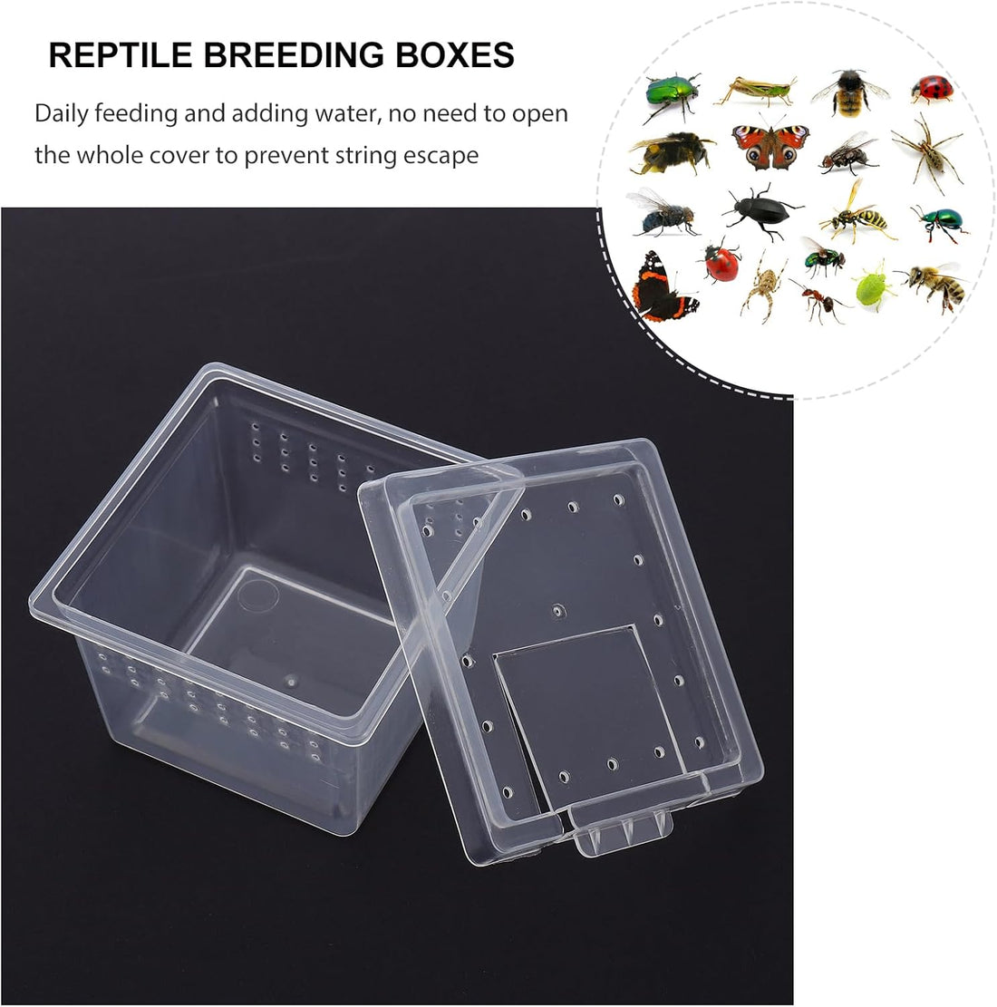 Mipcase Reptile Breeding Box Transparent Pp 2.67 X 2.16 X 1.77