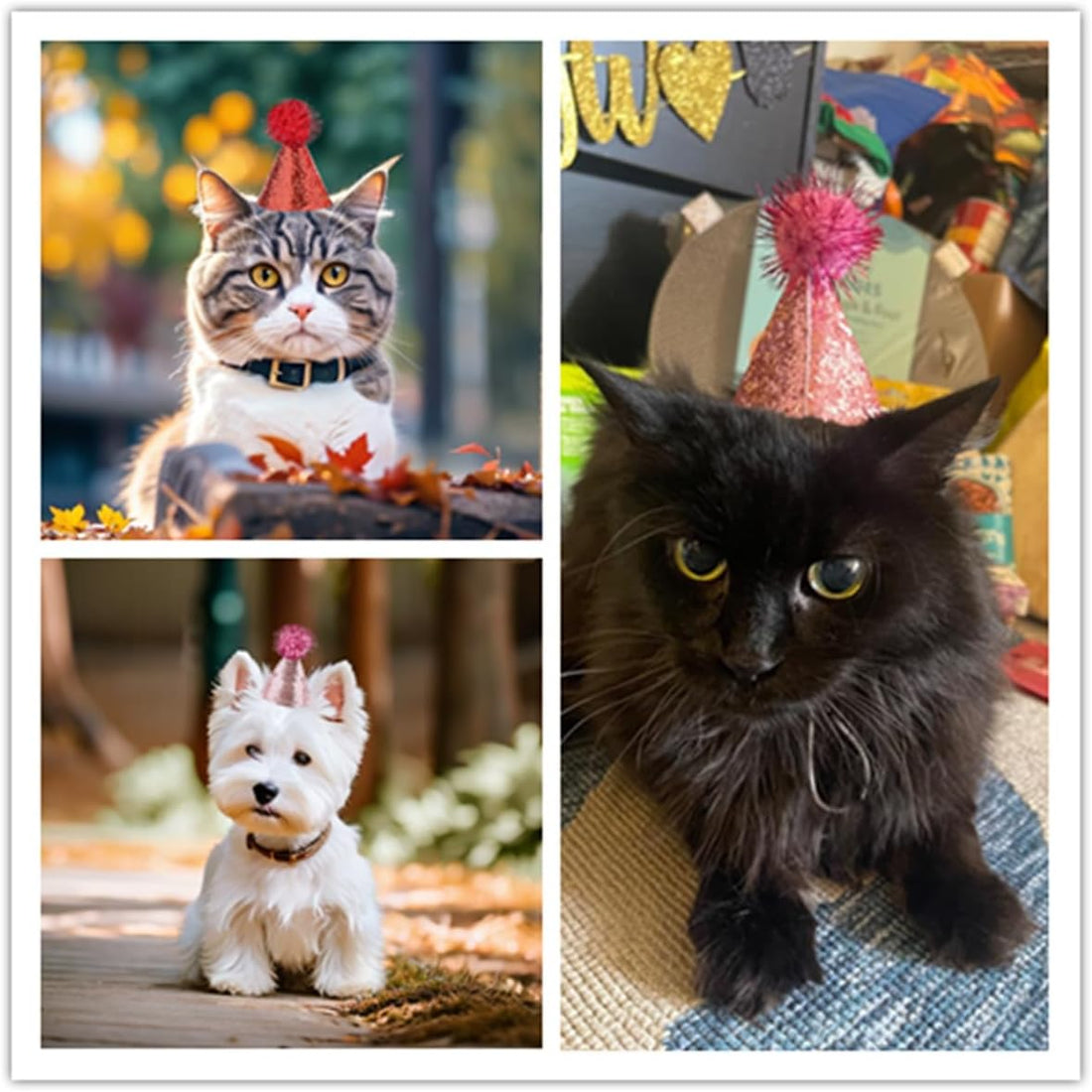PET SHOW 12 Pack Mini Small Dog Hats Cat Birthday Party Hat Rabbit