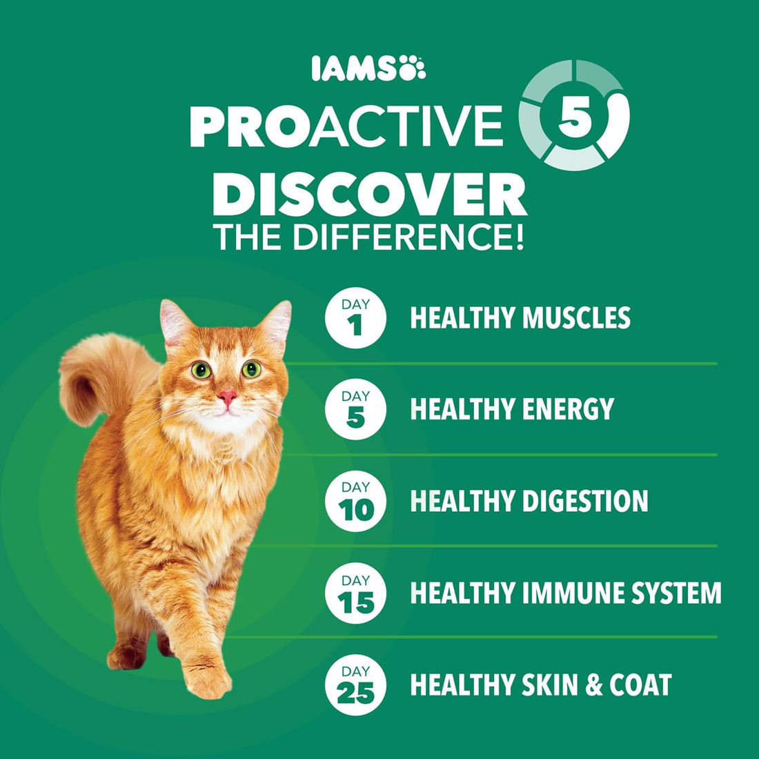 IAMS Proactive Health Senior Dry Cat Food, Cat Food Dry Chicken Recipe
