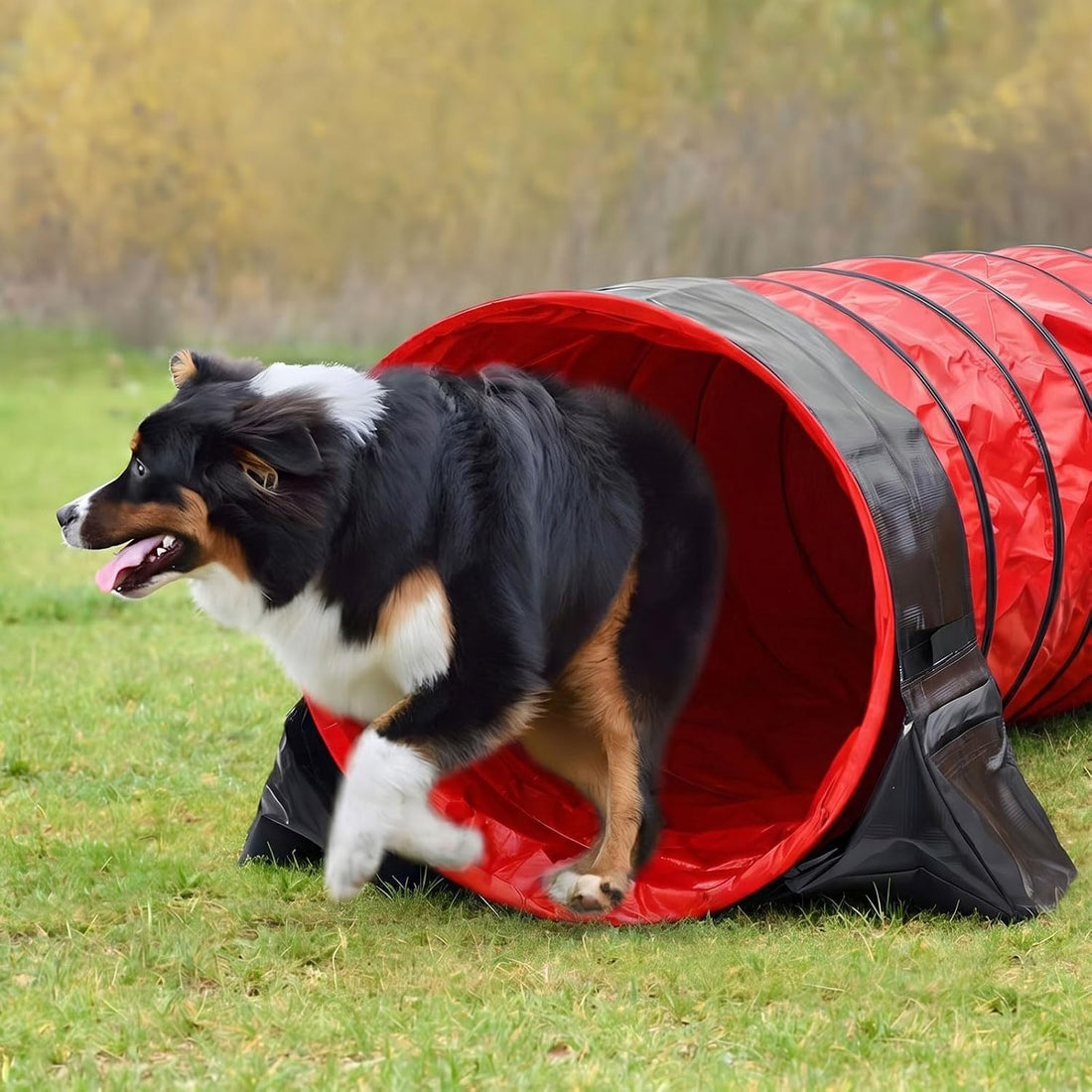 Briwooody 24 in 10 Foot PVC Dog Agility Tunnel with Sandbags Dogs