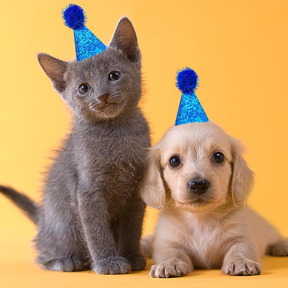 PET SHOW 10pcs Mini Small Dog Hats Cat Birthday Party Hat Rabbit Hats