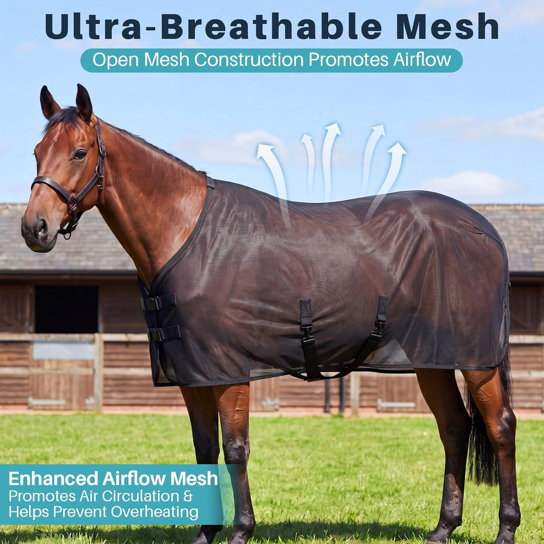 Breathable Mesh Horse Fly Sheet for Summer