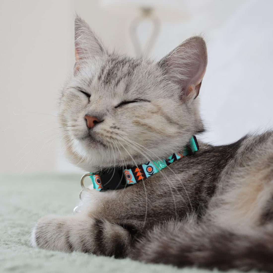 CollarDirect Cat Collar Breakaway with Removable Bell Set of 2 PCS
