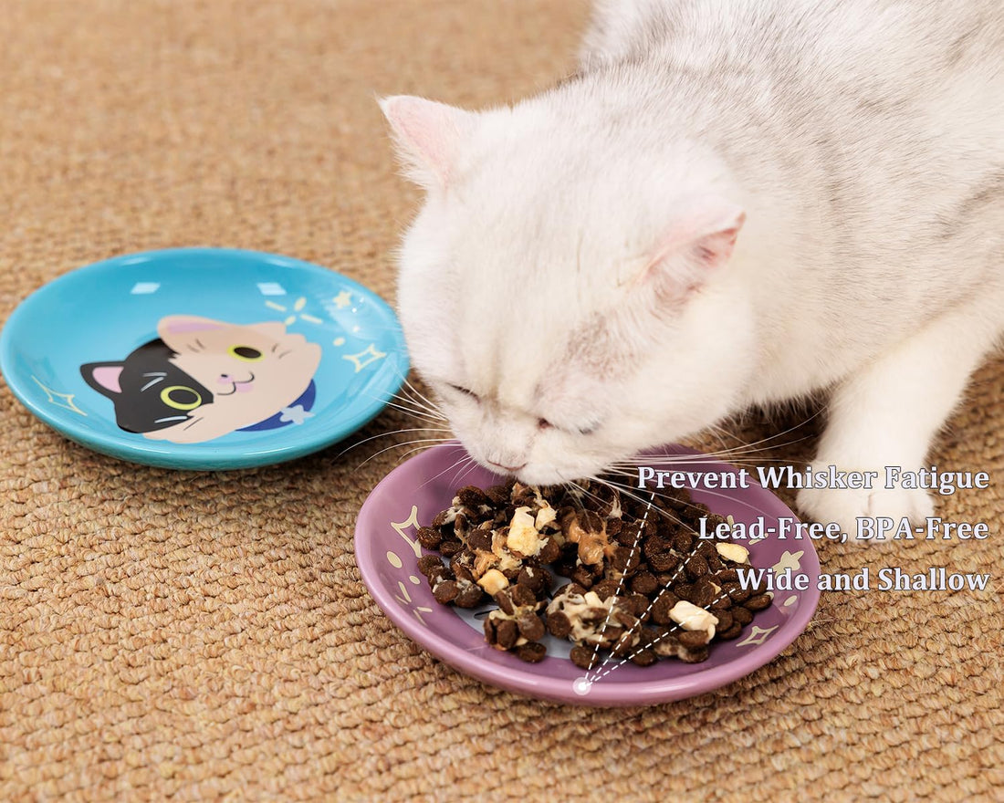 Ceramic Shallow Cat Dish 6 inch, Whisker Fatigue Free Cat Food Bowls