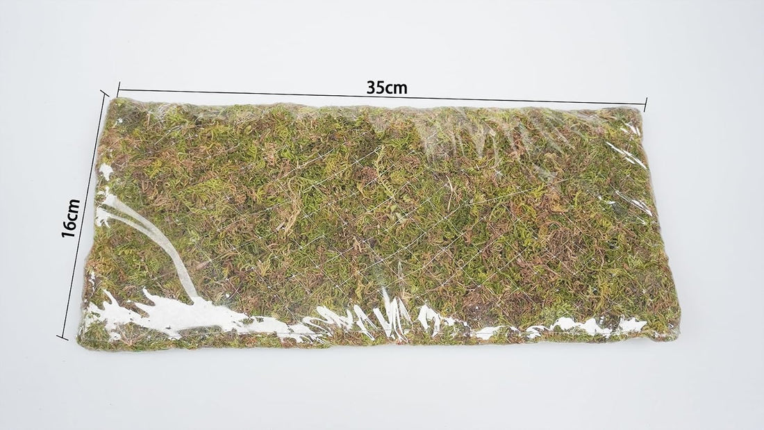 Reptile Moss Climbing Wall for Leopard Gecko