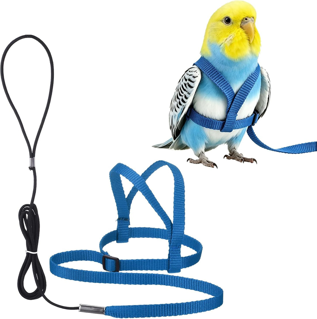 Bird Harness and Leash Adjustable Parrot Leash 47.2" S