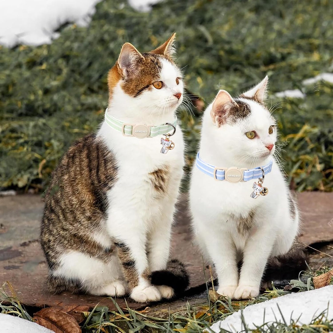 ARING PET Breakaway Cat Collars with Bell & Pendant, Set of Two