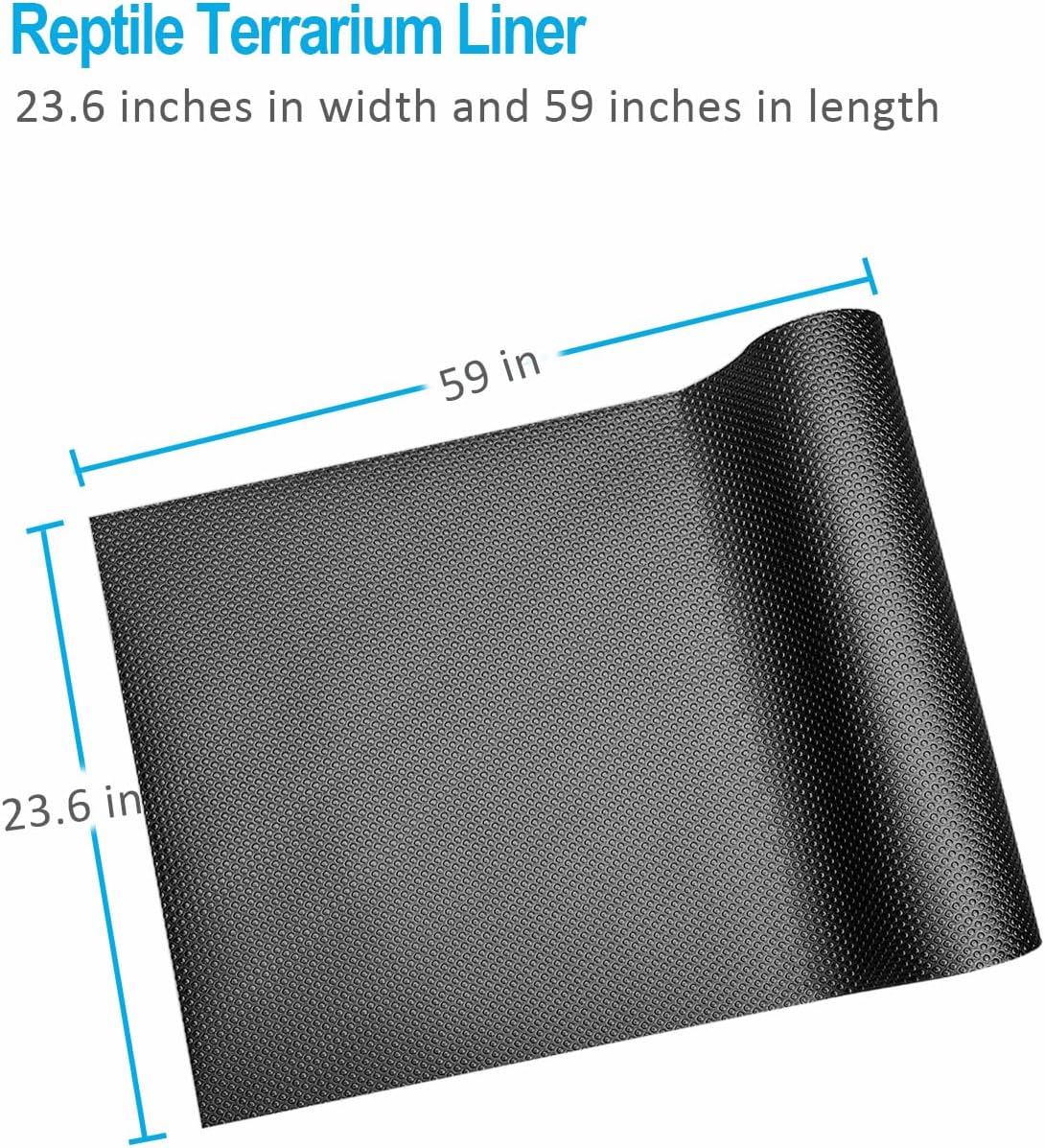 Bearded Dragon Tank Accessories