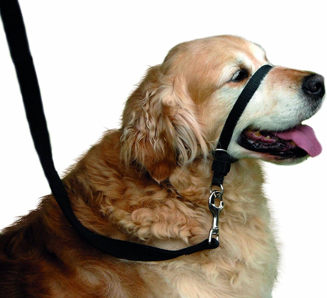 BARKELSS Gentle Dog Head Collar, Adjustable Padded Dog Halter